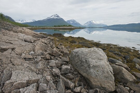 Stony beach by the fjord, Lodingen, Lofoten, Norway