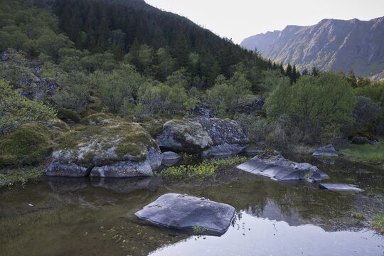 Shallow waters on the mountainside, Barstrand, Lofoten, Norway
