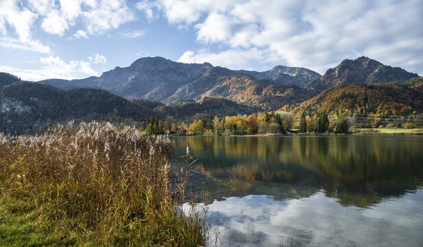 Mountains and forest, Alpine foothills in autumn, Lake Kochel, Bavaria, Germany