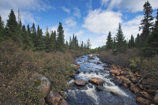 River Landscape in Parc des Grands Jardins, Canada