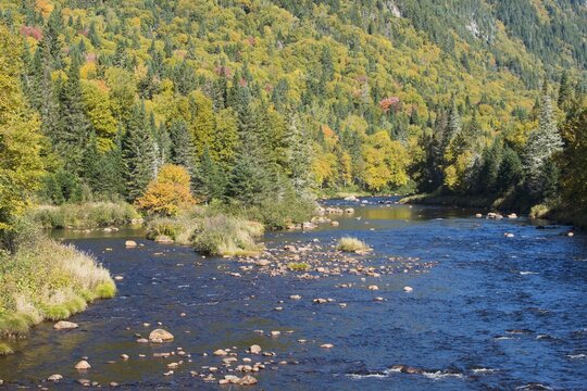 Autumn Landscape in Jacques Cartier Park, Canada