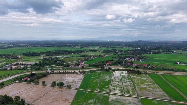 Drone View Over Labuh Banting Rice Field Scenery