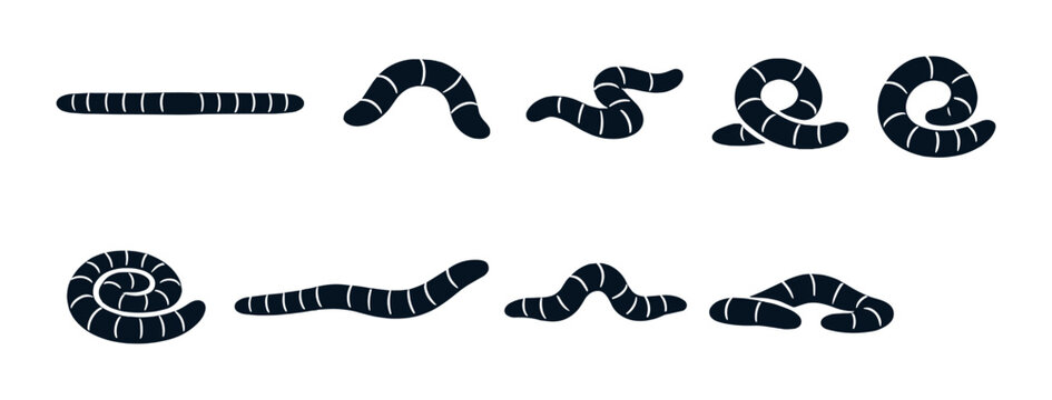 Dark segmented worms in varied poses on gray background