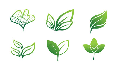 Collection of stylized leaf illustrations in various shades of green showcasing different types of foliage and botanical elements