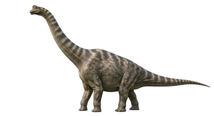 Isolated Titanosaur Sauropod dinosaur with long neck and tail, extinct herbivore from Jurassic © Marigold