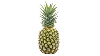 Fototapeta premium Isolated fresh pineapple on a plain background, a sweet and tangy tropical fruit treat