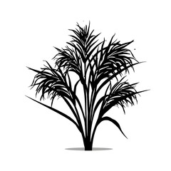 A striking black and white illustration of a plant with long, flowing leaves
