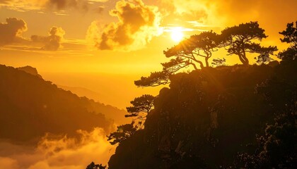 Golden hour illuminates rugged mountain terrain, crowned with trees under a bright sky