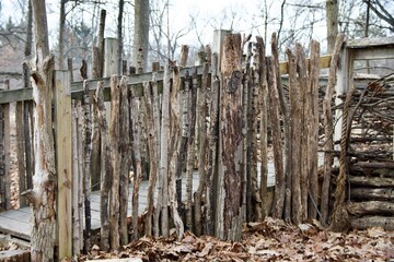 stick fence in park forest