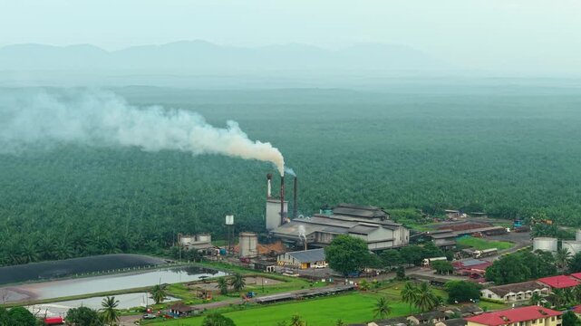 Palm Oil Mill Malaysia Aerial - EUDR Supply Chain Traceability FFB Processing 4K