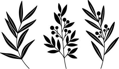 Black botanical branch with leaves and berries white background leaf berry © AbdullaAlMamun