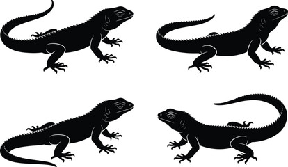 Fototapeta premium Black iguana lizard silhouette set and flat vector illustration, tropical reptile animal cad drawing for landscape architecture, exotic wildlife nature icon collection,