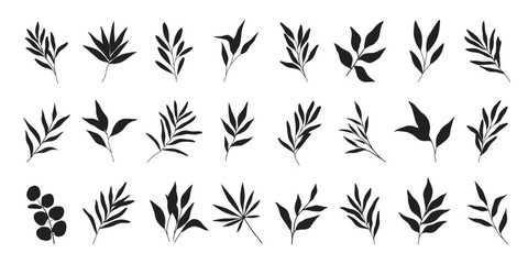 Naklejka premium Black silhouettes botanical branches and leaves.Eucalyptus,olive,palm,bamboo,herbs,grass.Minimal monochrome foliage isolated on white.Floral design elements for branding,logo,wedding,invitations