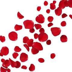 Vibrant red petals scattered on transparent background