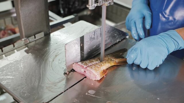 Fish being filleted on a conveyor in an industrial seafood processing plant.