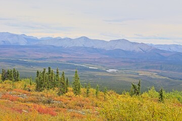 Along the Dempster Highway, Yukon & NWT