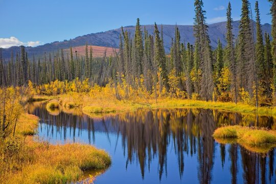 Along the Dempster Highway, Yukon & NWT