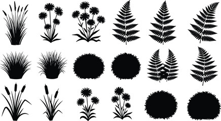 Wild plants and fern silhouettes collection, grass flowers bushes isolated on white background, botanical nature flat vector illustration © Creative Soul