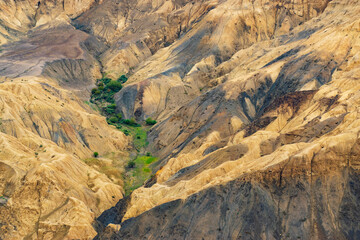 A touch of green trees at Moonland, near Lamayuru, named for its uncanny resemblance to the surface of the Moon. Naturally eroded, soft clay hills giving it a true lunar vibe. Lamayuru, Ladakh, India.