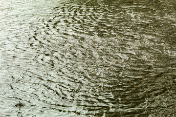 Obraz premium Small ripples in the water of a small lake in São Luís, MA, Brazil.