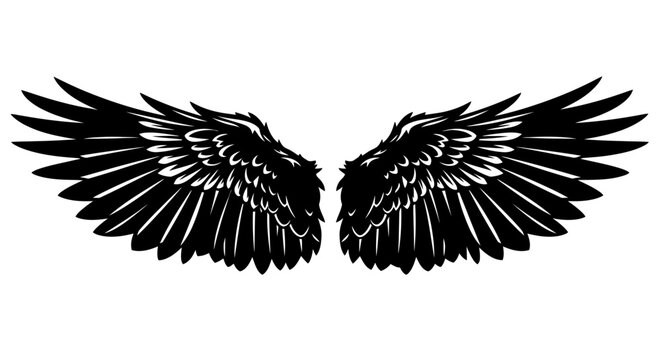 Black Wings Spread Out in Flight.