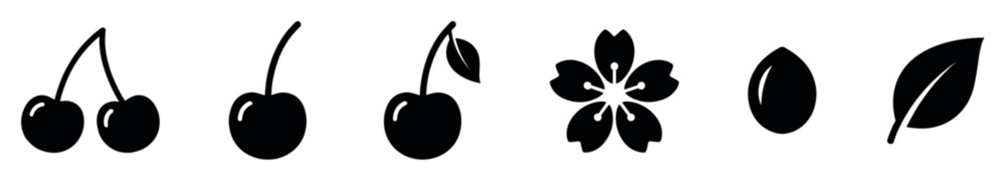 Six black silhouette icons of cherry elements, including the fruit, a five-petal blossom, a seed, and a leaf, presented in a minimalist and modern graphic design set