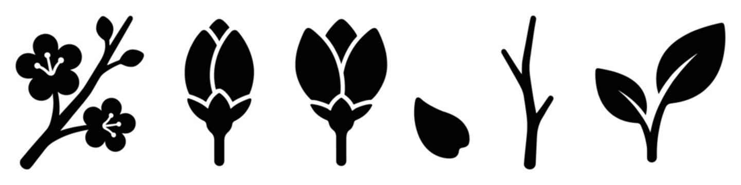 Collection of black floral silhouette icons showing a flowering branch, various flower buds, a single petal, a bare twig, and a leafy sprig in a clean, graphic style