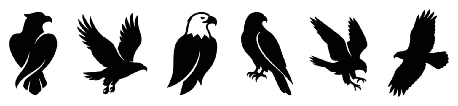 Six black silhouettes of majestic eagles and hawks in various flying and standing poses, a powerful graphic icon set for emblems or logos representing freedom and strength