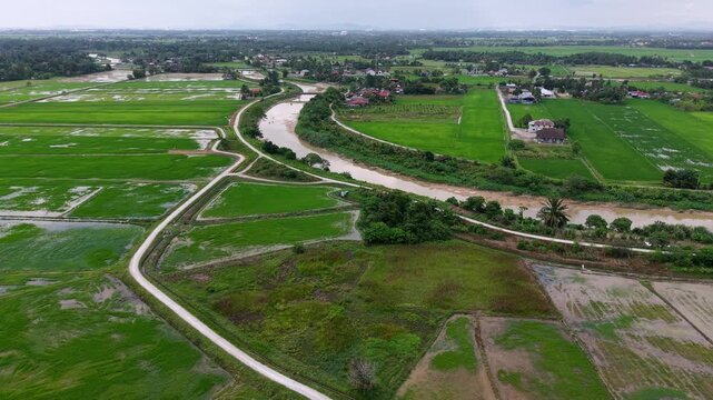 Aerial Labuh Banting Rice Paddies Winding River Country Roads