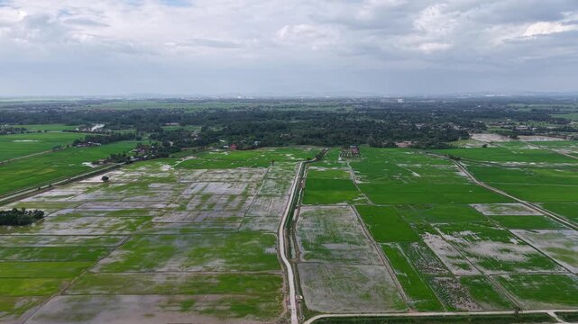 Aerial Labuh Banting Rice Fields Rural Landscape Overview