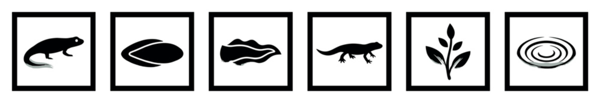 Set of six black minimalist icons depicting nature symbols including a skunk, lizard, plant, seed, and abstract shapes inside vertical rectangular frames with a simple graphic style
