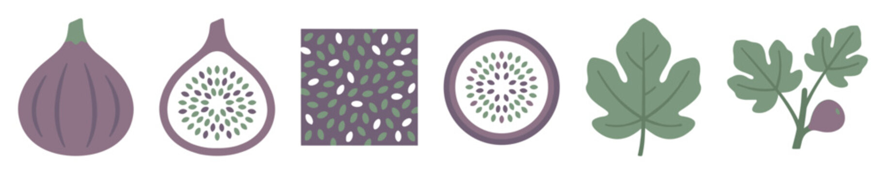 Set of purple fig fruit illustrations showing a whole fruit, cut half, slice, leaf, and branch in a simple flat vector style for healthy food or botanical concepts