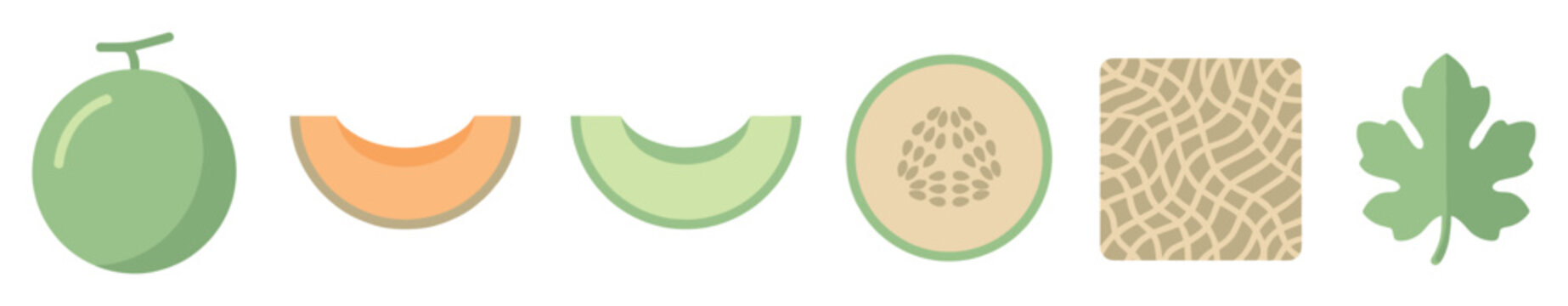 Collection of melon fruit icons showing a whole cantaloupe, slices with orange and green flesh, a cross-section with seeds, a rind texture pattern, and a leaf illustration