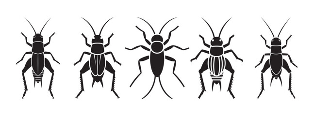 Five black insect icons on white background: crickets