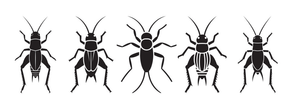 Five black insect icons on white background: crickets