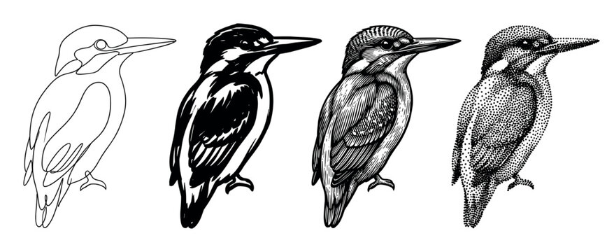 Set of four kingfisher bird illustrations in black and white, showcasing a collection of artistic styles including line art, bold ink, detailed engraving, and stippling