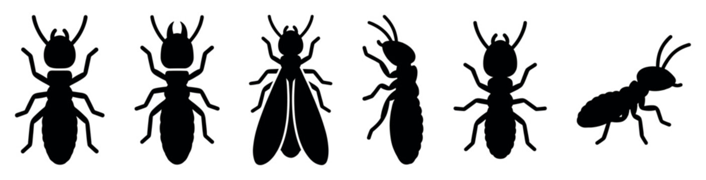 Set of black termite insect silhouettes showing different castes like worker, soldier, and winged alate from top and side views in a simple vector icon style