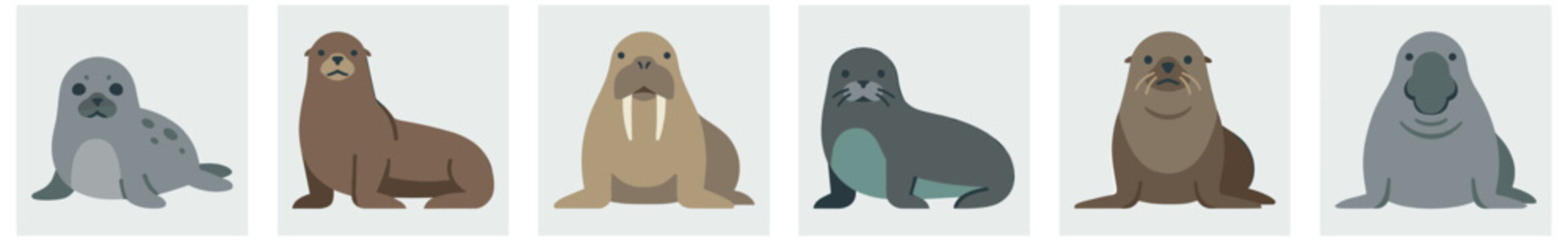 Collection of six cute pinniped illustrations featuring a seal, walrus, sea lion, and elephant seal in a simple, minimalist flat vector cartoon character style