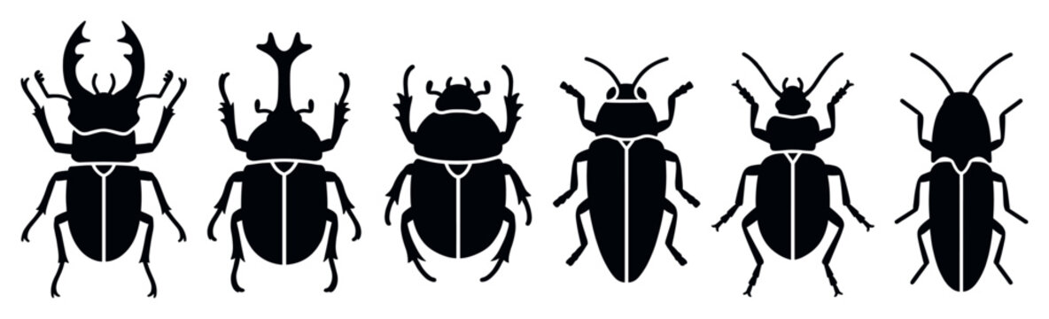 Six black beetle silhouettes in a row showing various species like stag and rhinoceros beetles in a minimalist graphic icon style for entomology or nature concepts
