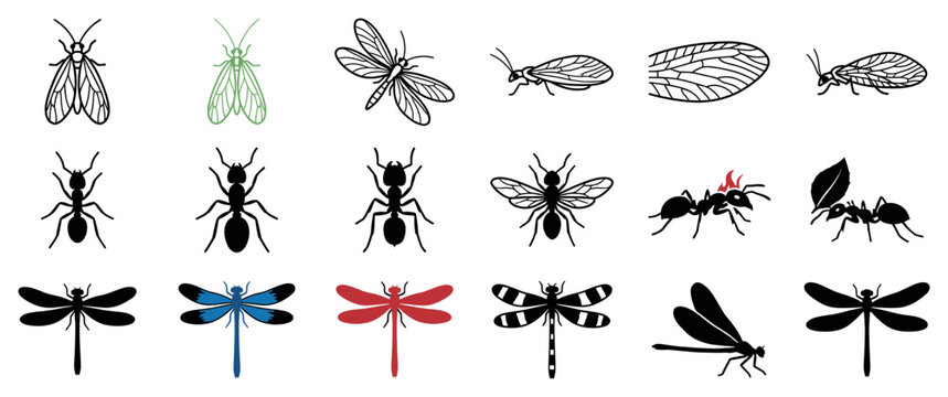 Various insect icons featuring ants, dragonflies, moths, and lacewings presented as a set of minimalist black, red, blue, and green silhouettes and line drawings
