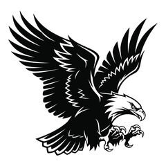 Obraz premium Black and white eagle with wings spread wide for symbol and icon use