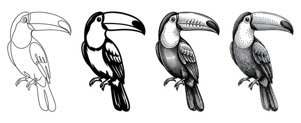 Fototapeta premium Four black and white toucan bird illustrations in various artistic styles including minimalist line art, bold silhouette, vintage engraving, and detailed stippling dotwork