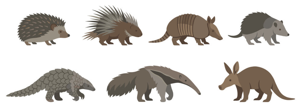 Collection of seven wild animal illustrations including a hedgehog, porcupine, armadillo, pangolin, anteater, aardvark, and tenrec in a simple flat vector graphic style