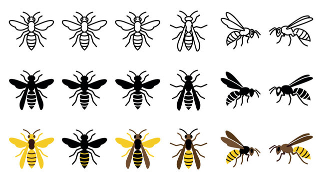 Various stylized bee and wasp insect icons are presented in a grid, featuring outline, solid black, and colored illustrations from top-down and side perspectives, showcasing diverse graphic styles