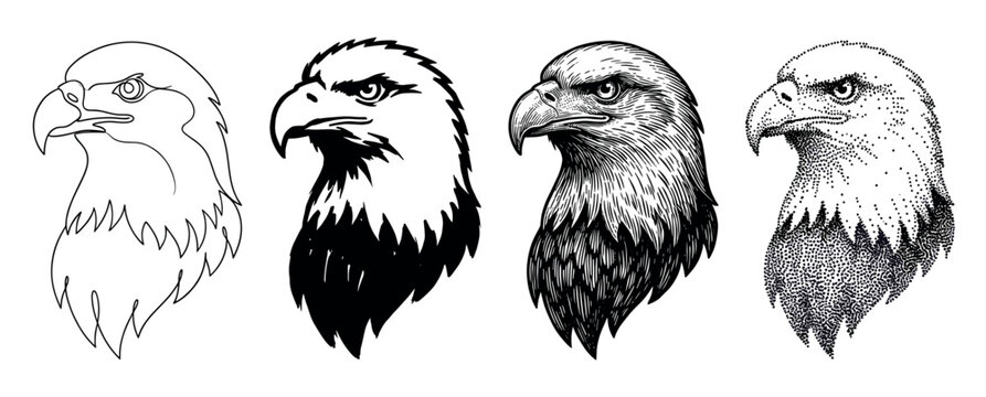 Four distinct black and white eagle head illustrations showcase various artistic styles, including outline, bold graphic, detailed engraving, and stippling, depicting the majestic bird in profile