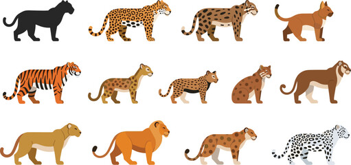 Big cats flat vector set with lion tiger leopard cheetah characters © munzuara