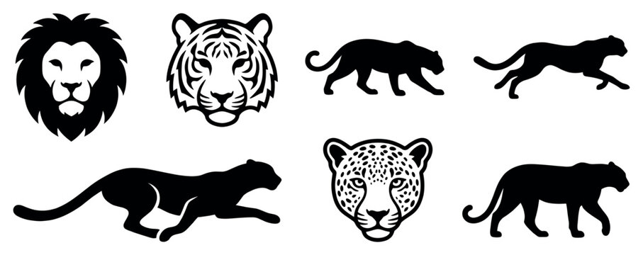 Stylized black and white big cat illustrations feature majestic lion, tiger, and leopard heads alongside powerful panther silhouettes in various dynamic poses, rendered with bold graphic lines