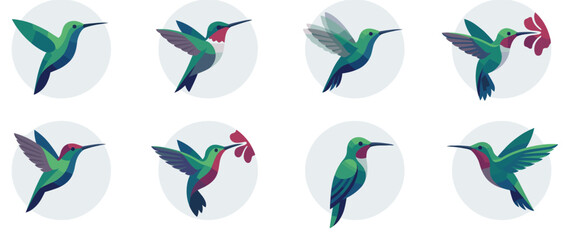 Obraz premium Eight stylized green hummingbirds are depicted in a modern flat vector illustration, showcasing various flight poses and vibrant plumage with subtle red accents