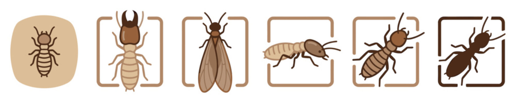 Six stylized brown termite insect illustrations depict various castes including worker, soldier, and winged forms, presented as clean, flat vector icons with a simple, modern aesthetic
