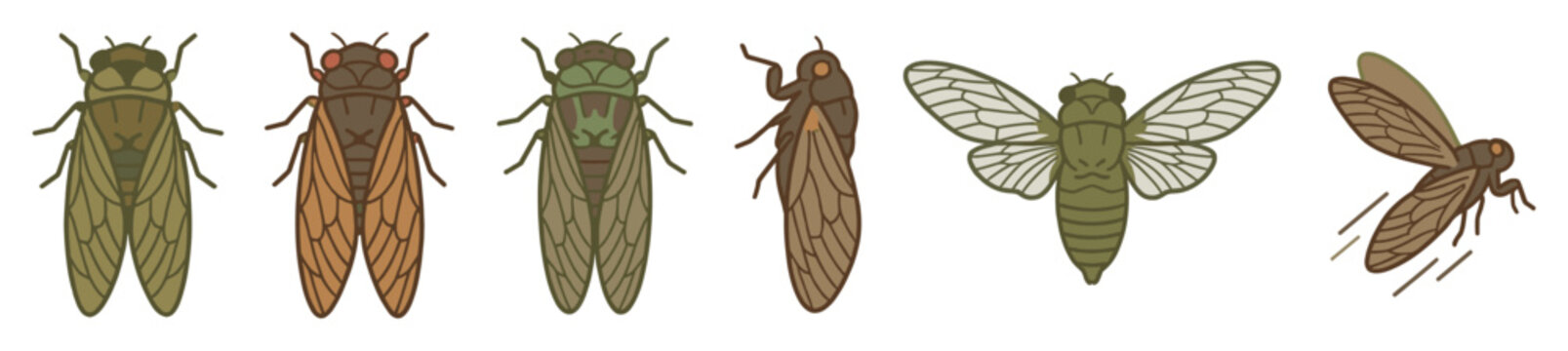 Six stylized cicada insects are depicted in various poses and earthy tones, showcasing their distinct body shapes, intricate wing patterns, and prominent eyes in a flat vector illustration style